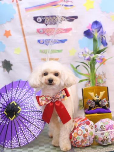 20240510リコちゃん